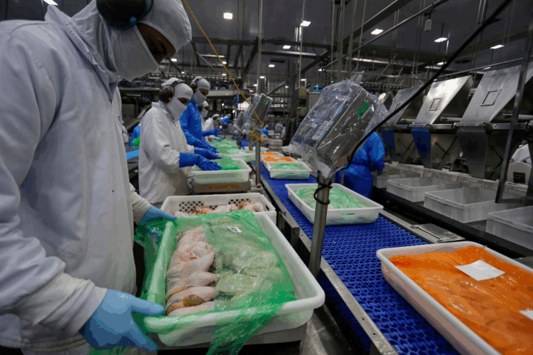 Exportações de carne de frango têm o melhor outubro desde 2023