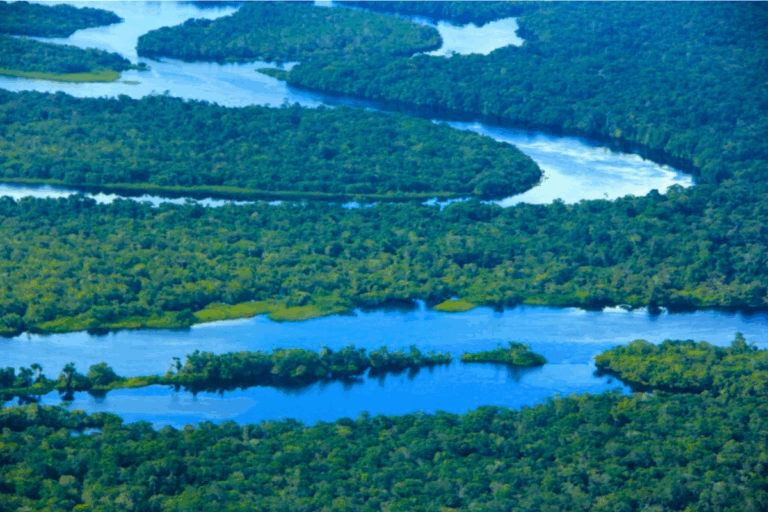 Desmatamento no Amazonas cai 17% e atinge menor nível desde 2017