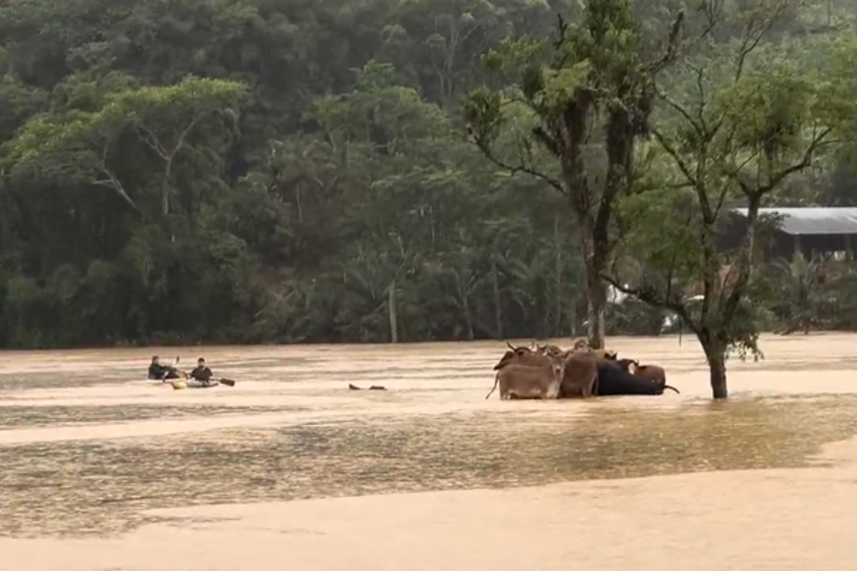 Foto: Júnior Schroeder/Arquivo Pessoal