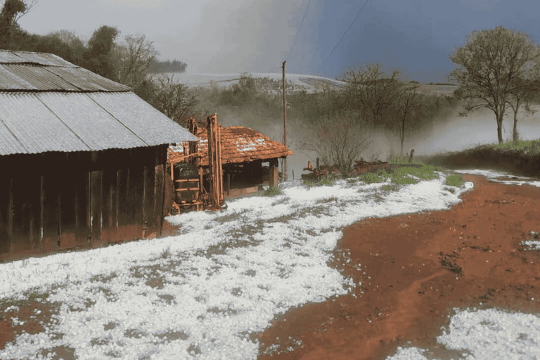 Temporais com granizo atingem áreas agrícolas do RS e SC