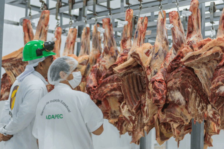 Mapa detalha atuação de empresas privadas em inspeção de frigoríficos