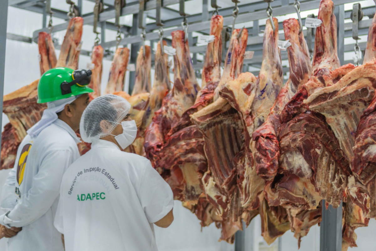 Foto: Keven Lopes/Governo do Tocantins