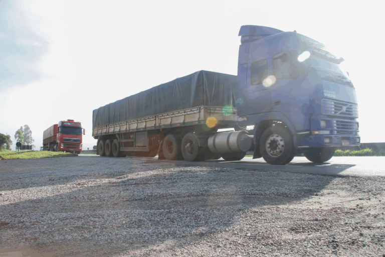 Conab faz leilão de frete para retirada de 16 mil toneladas de milho