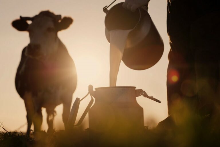 Conseleite, Sindileite e Faesc pedem ao governo medidas em apoio ao setor