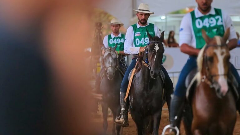 Descubra a marcha batida, o movimento mais famoso do Mangalarga Marchador