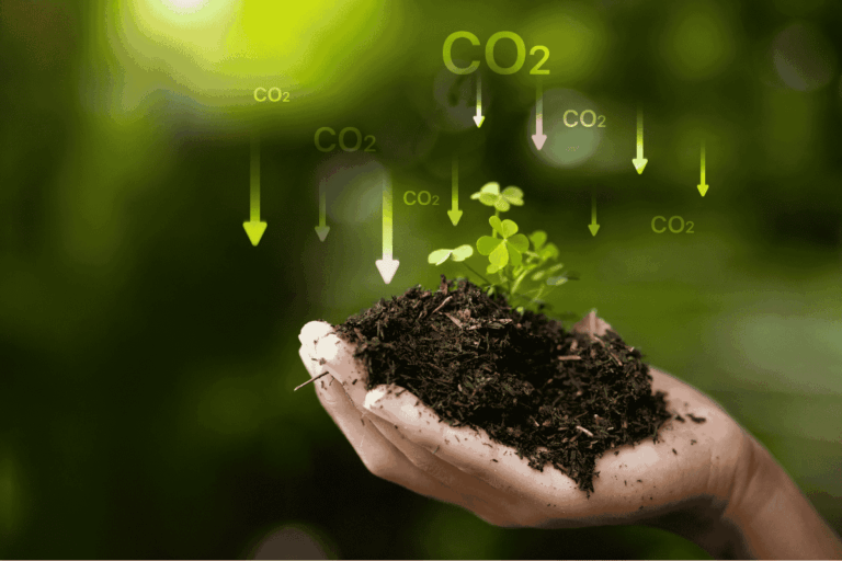 Publicação da Embrapa reúne métodos para medir carbono no agro