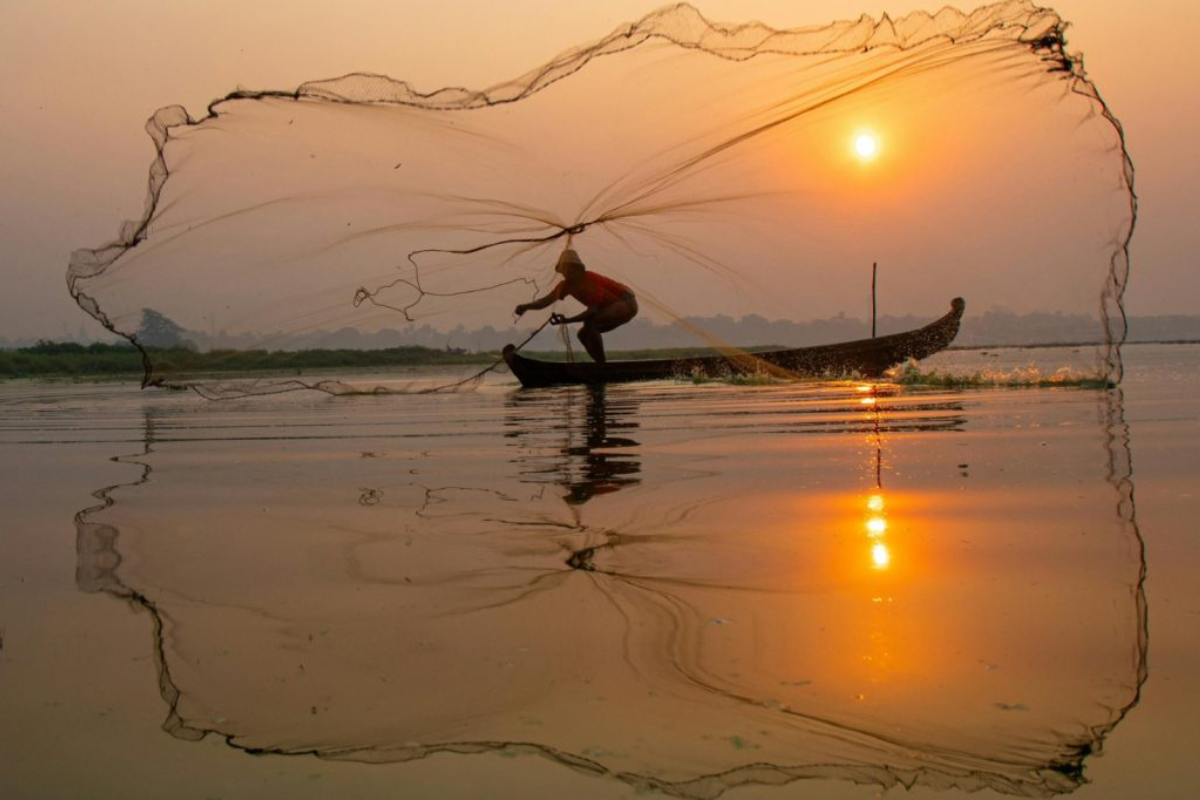 Foto: IP-Apta/Divulgação