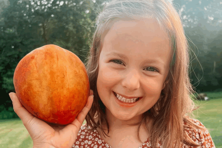 Recorde mundial: veja onde foi colhido o maior pêssego do planeta