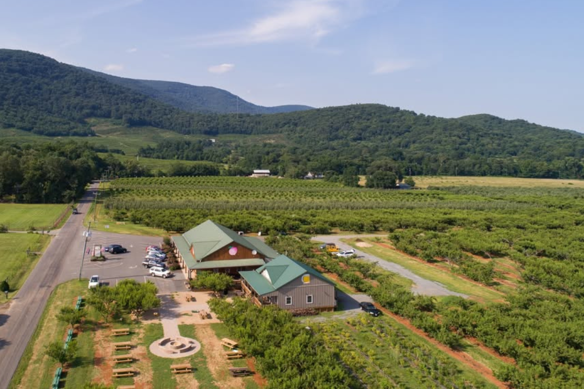 maior pêssego do planeta