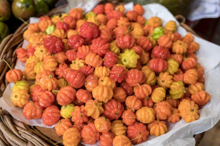 Quantas cores de pitanga existem no Brasil?