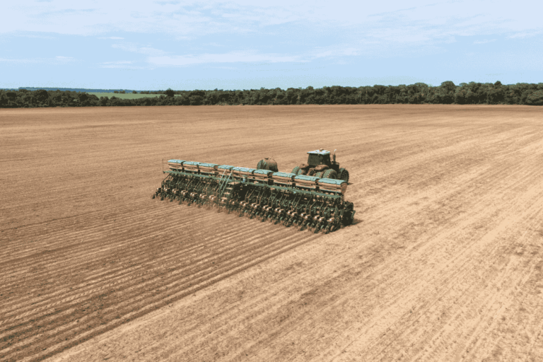 Falta de chuva gera perdas e replantio da soja em Mato Grosso