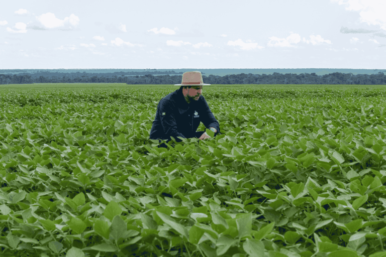 Área plantada de soja 2025/26 avança a 89%, diz AgRural