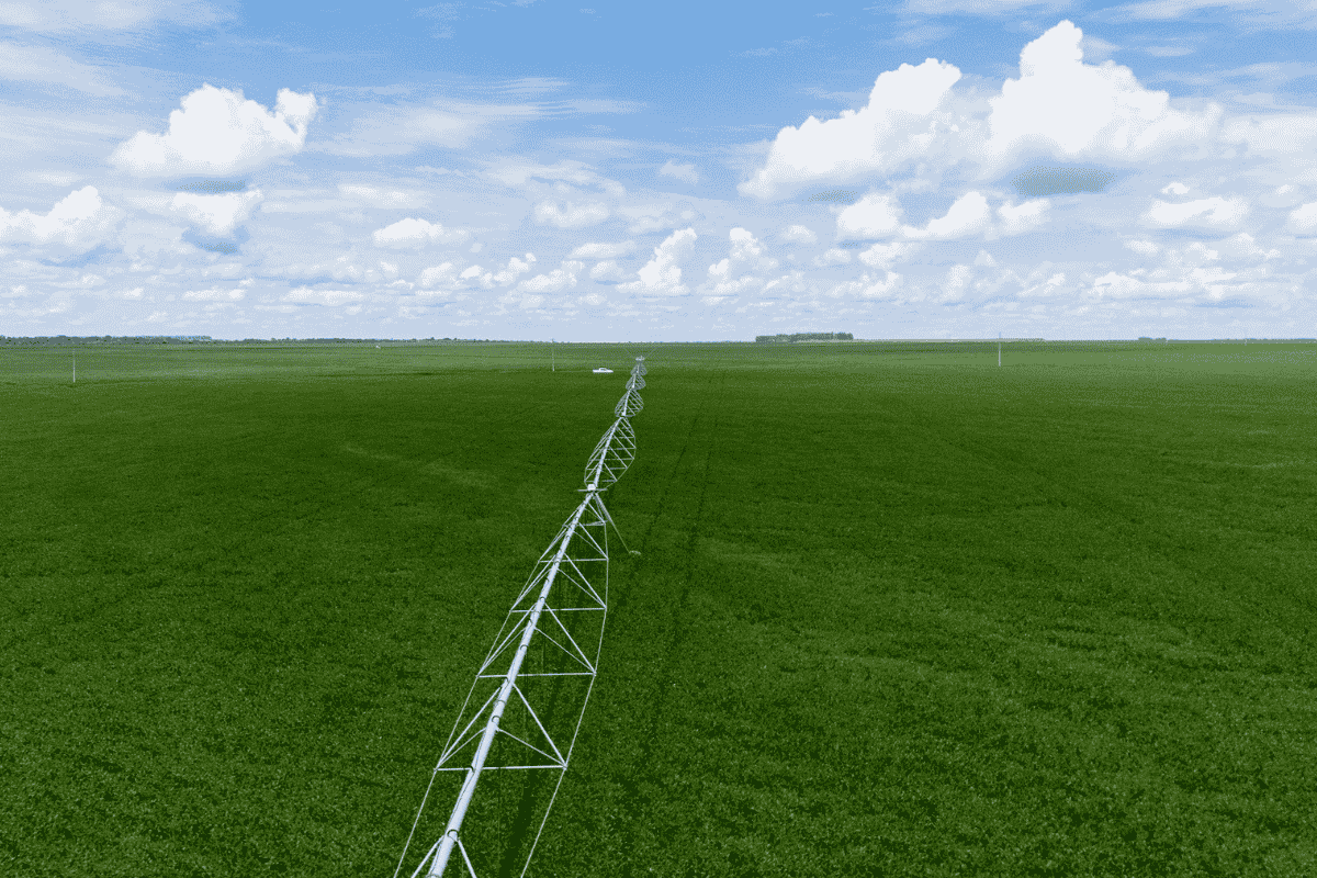 plantio; semeadura soja Mato Grosso; MT ; irrigação; pivô