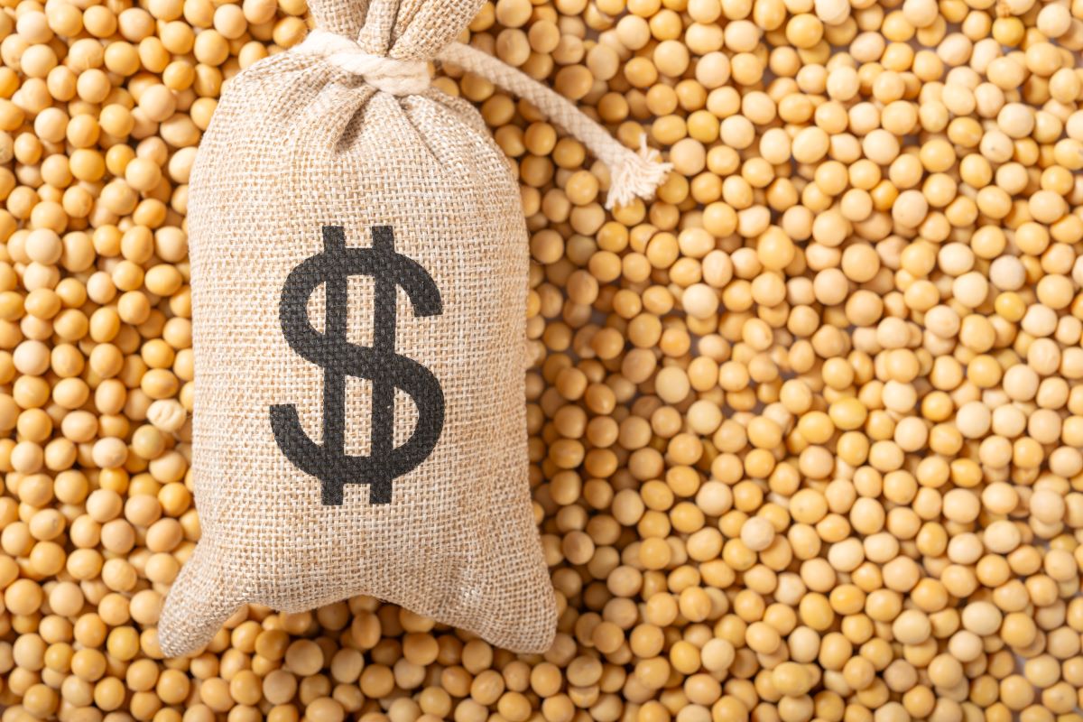 Volume de soja comprado pela China até outubro totalizou 95,68 milhões de tonelada. Foto: Adobe Stock