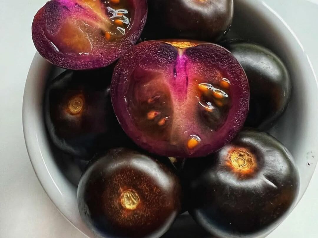 tomate roxo 