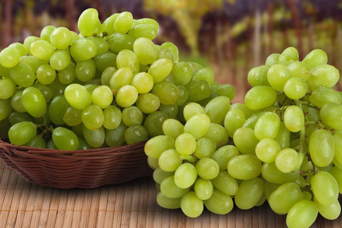 Abrafrutas planeja buscar novos mercados para a uva nacional. Foto: Adobe Stock