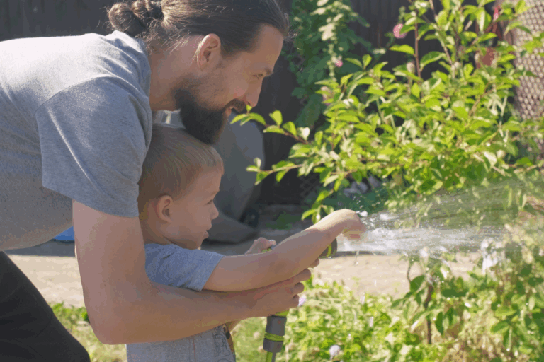 Truques simples que salvam plantas no calor