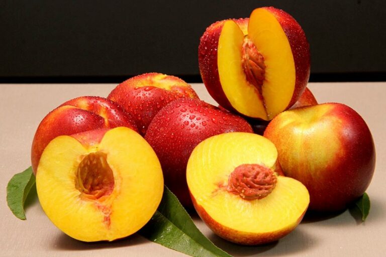 Embrapa lança nectarina doce, de vermelho intenso e com acidez equilibrada