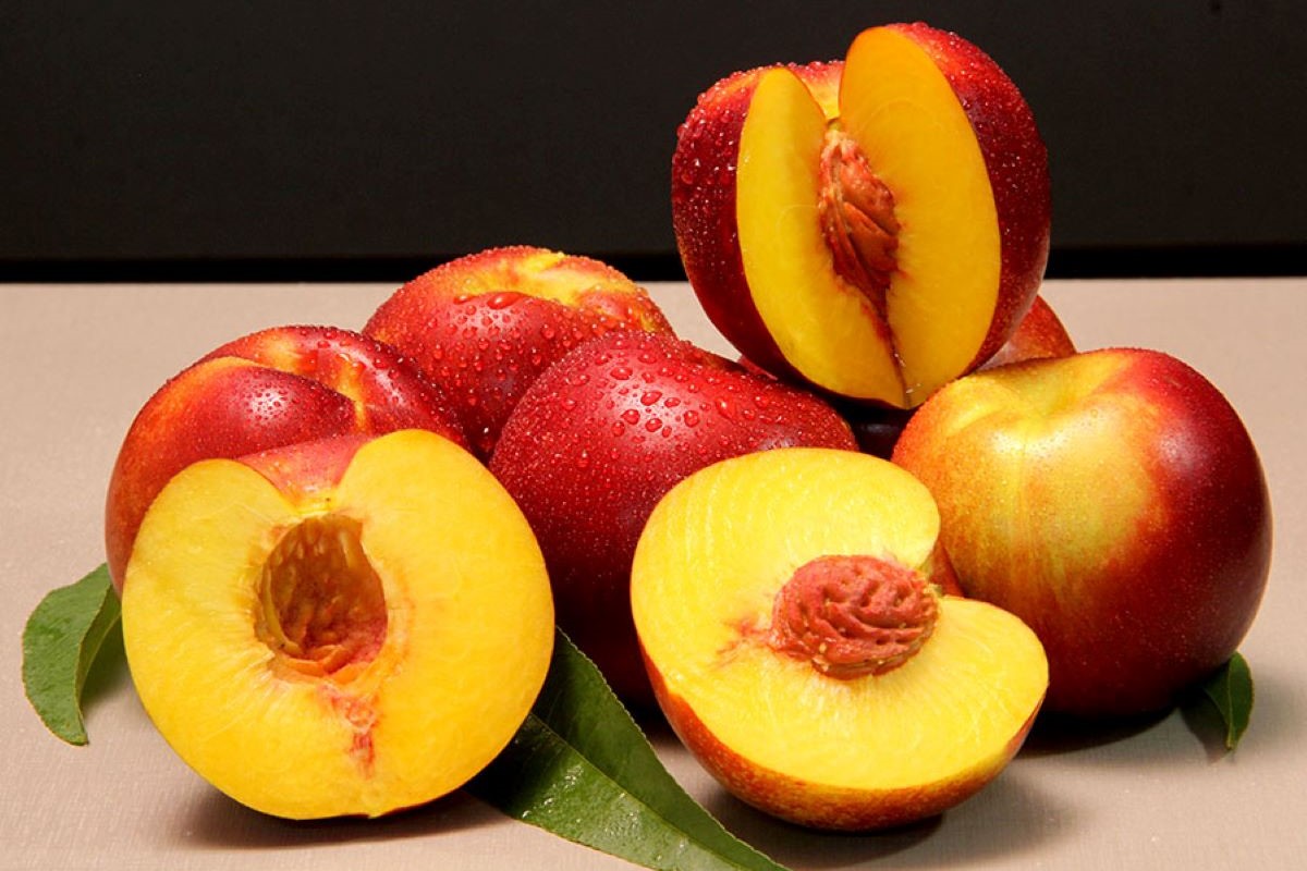 BRS Carina foi desenvolvida para começar a ser colhida na última semana de novembro. Foto: Paulo Lanzetta/Divulgação