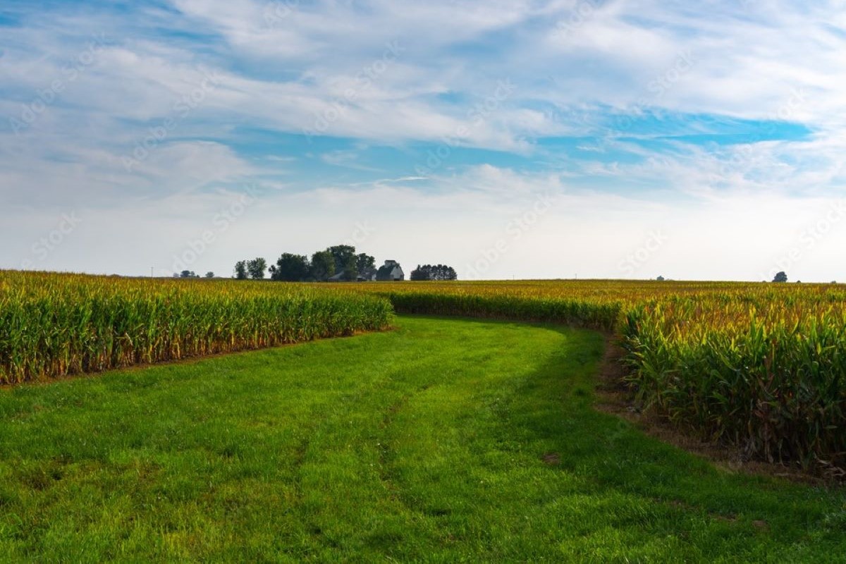 Entre novembro de 2024 e novembro deste ano, índice de cadastros validados saltou de 3,3% para 9%. Foto: Adobe Stock