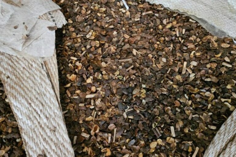 Ministério da agricultura apreende 21 toneladas de café irregular em Curitiba