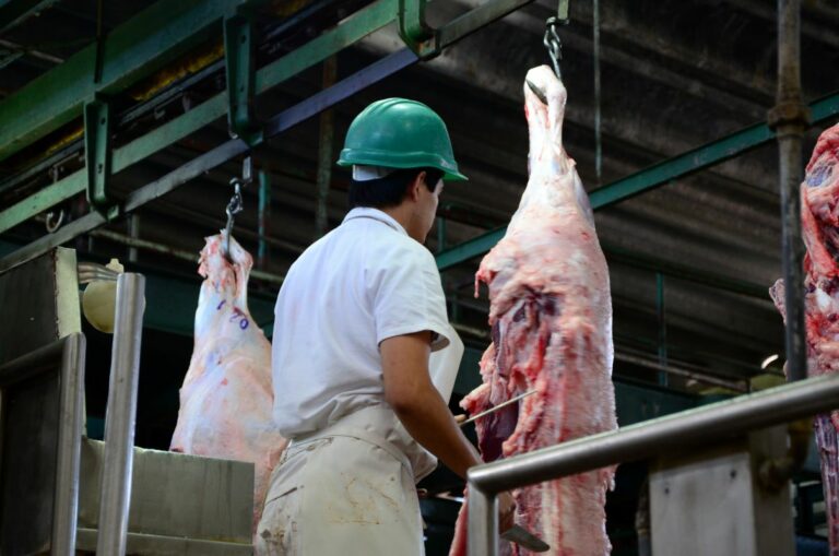 Tarifa de 55% da China sobre carne bovina inviabiliza exportações fora da cota, diz associação