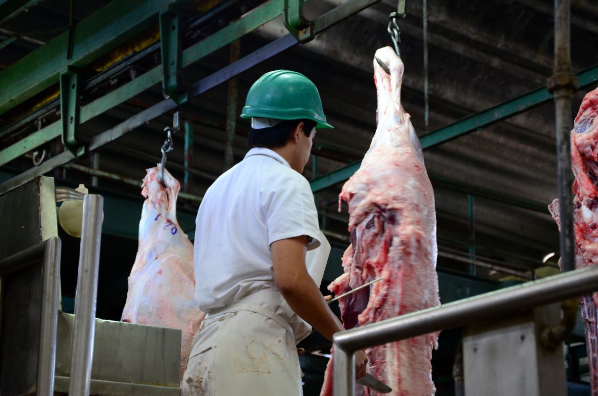 Para a Abrafrigo, a medida chinesa é desestímulo à cadeia da carne bovina. Foto: Adobe Stock