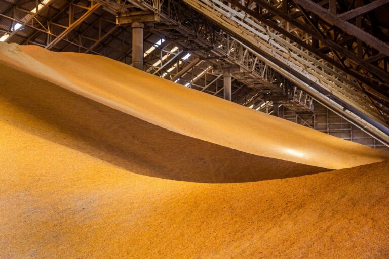 Conab lançará sistema que libera Código do Armazém em até 15 dias