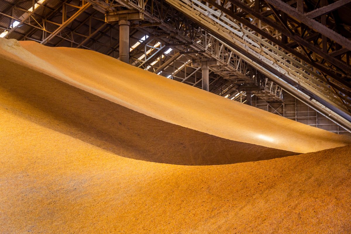 Tempo de espera para obter um CDA passa de 3 meses para 15 dias. Foto: Adobe Stock