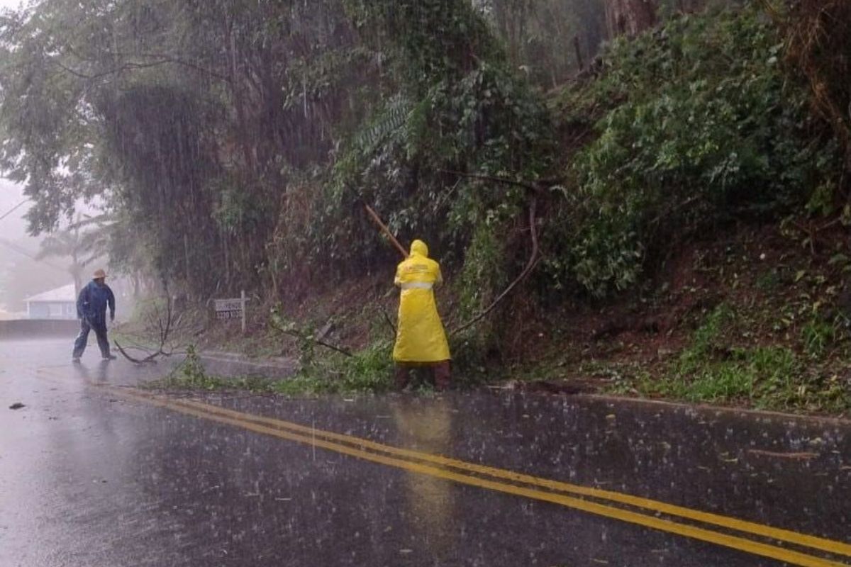 Ciclone extratropical supera o volume de chuva para todo dezembro em várias regiões de Santa Catarina. | Foto: Defesa Civil/SC