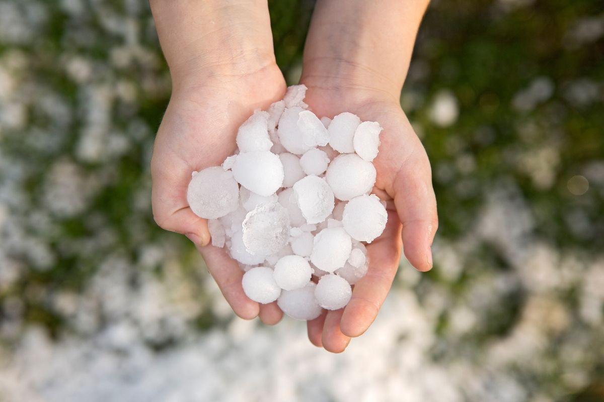 Alerta para queda de granizo nas regiões Sul e Sudeste | Foto: Adobe Stock