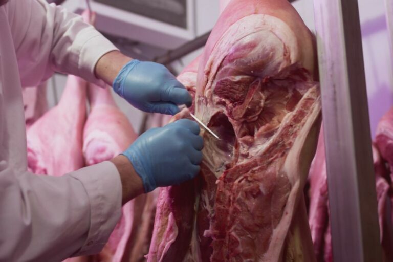 IBGE: abates de bovinos, suínos e frangos bateram recorde no 3º trimestre