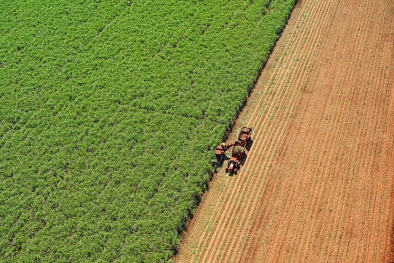 Orplana avalia pedido de exclusão de associações após memorando com a Unica