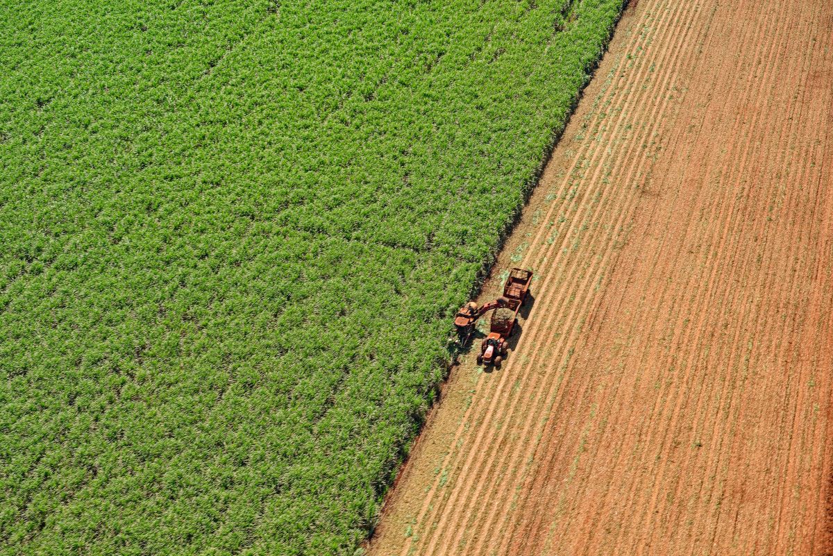 Impasse envolve modelo de precificação para o setor sucroenergético. Foto: Adobe Stock