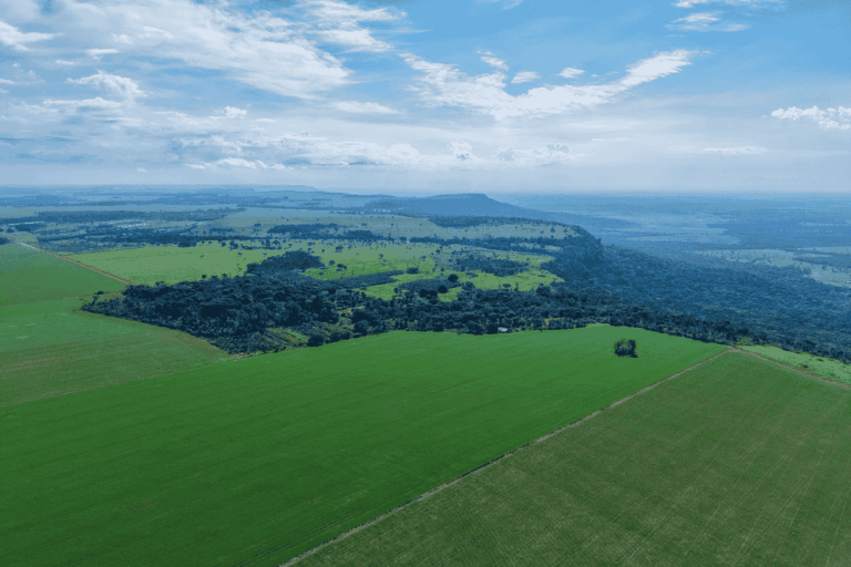 Seguro Rural terá regras ambientais mais duras em 2026