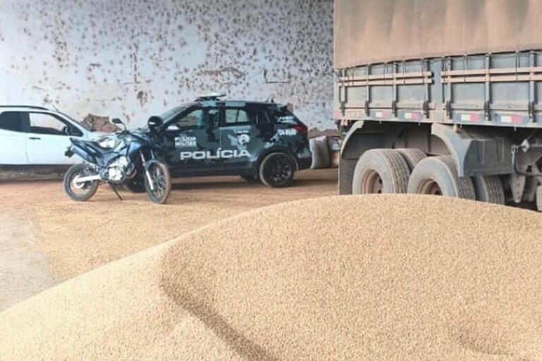 Golpe do frete: polícia de MT recupera 116 toneladas de soja furtada