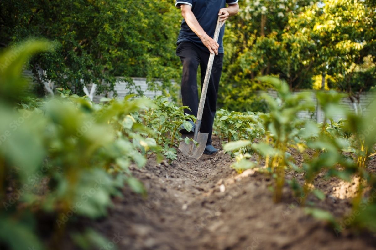 Cerca de 15,38 milhões de hectares de terras públicas teve destinação definida. |  Foto: Adobe Stock 