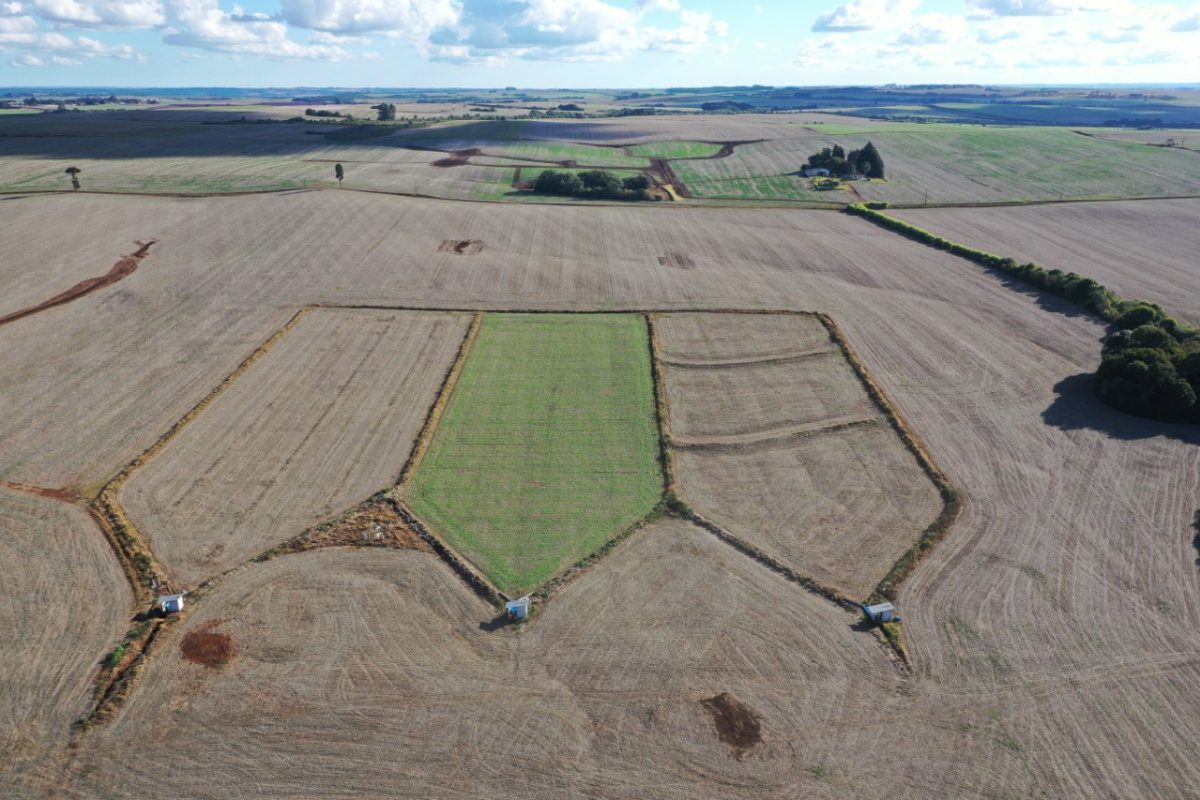 Foto: Faep/Divulgação  