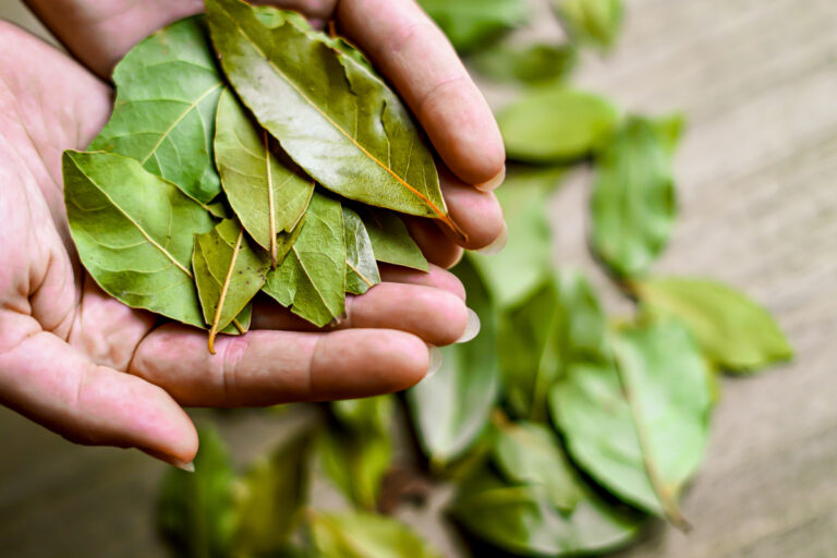 O que acontece com sua saúde se você usar este tempero na ceia de Natal