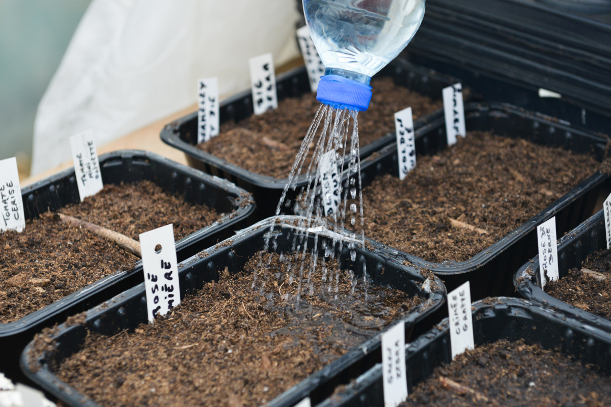 Sistema de reúso de água na irrigação de hortaliças