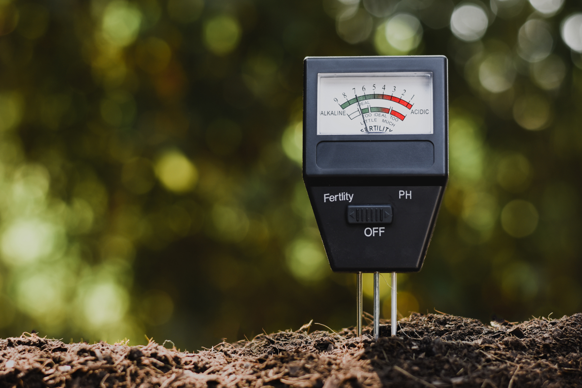 o que é o pH do solo