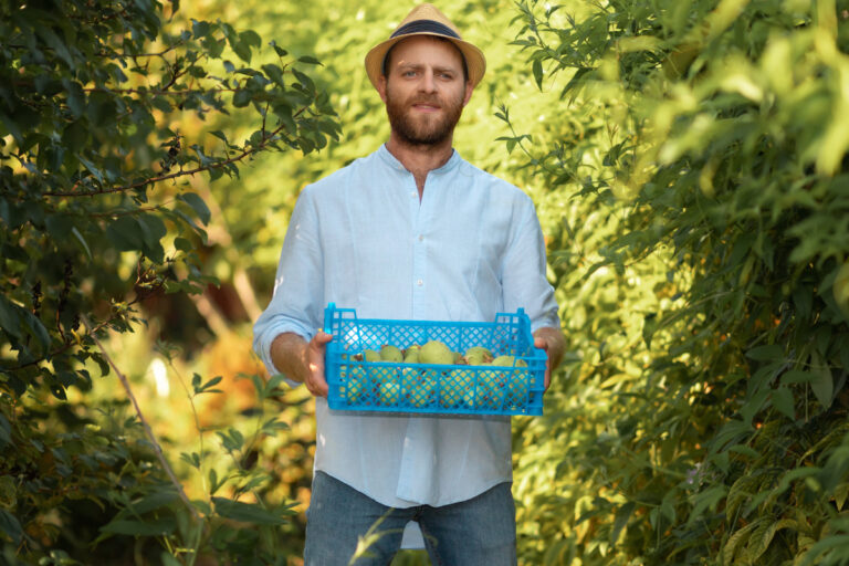O segredo para ter lucro com essa fruta popular
