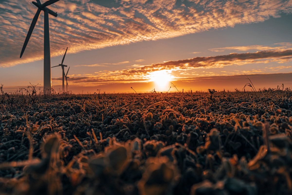 Zoneamento Agrícola de Risco Climático