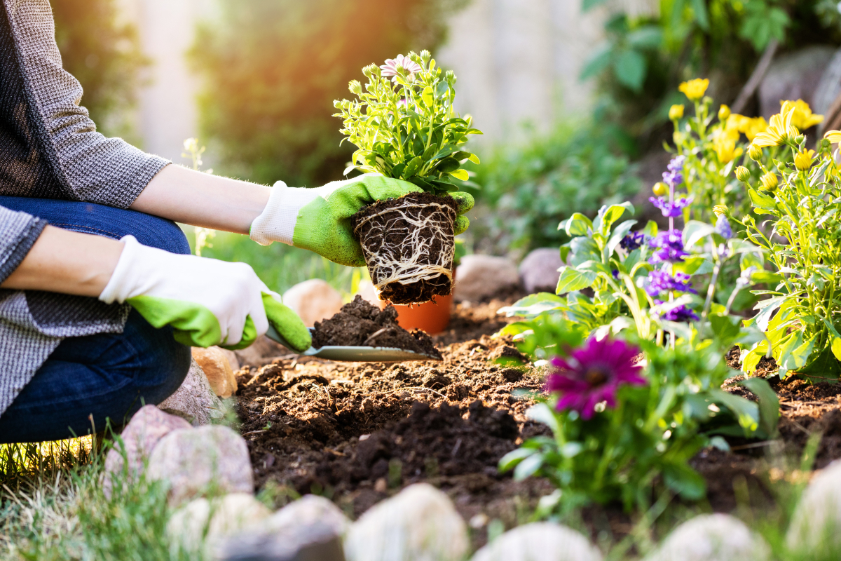 Jardins adaptados ao verão