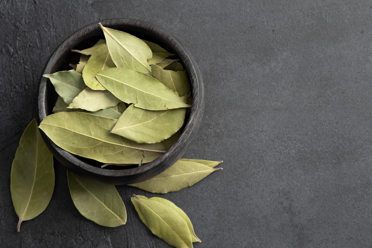 folha-de-louro