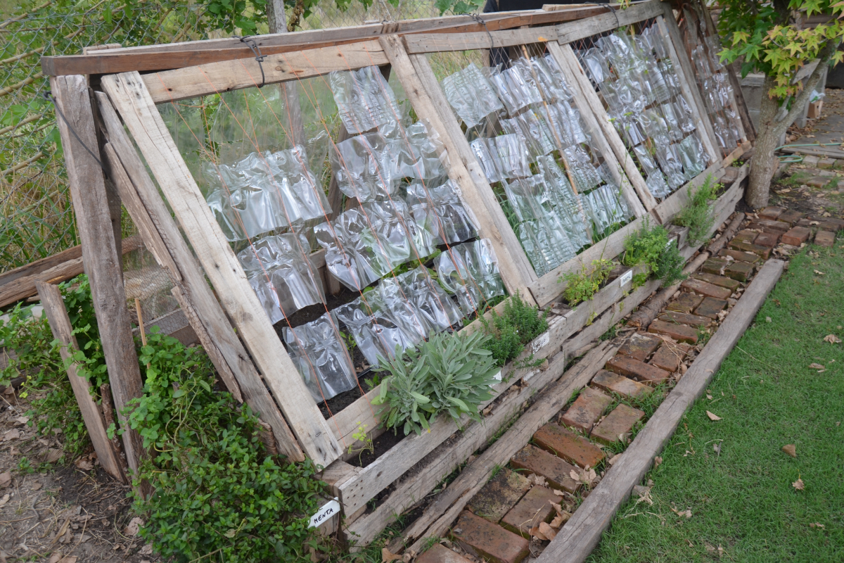 Sistema de reúso de água na irrigação de hortaliças