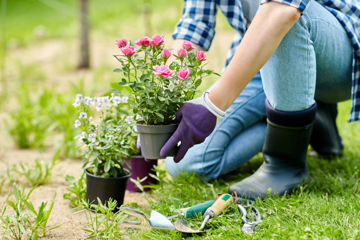 Jardins adaptados ao verão