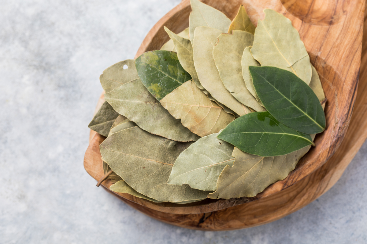 folha-de-louro
