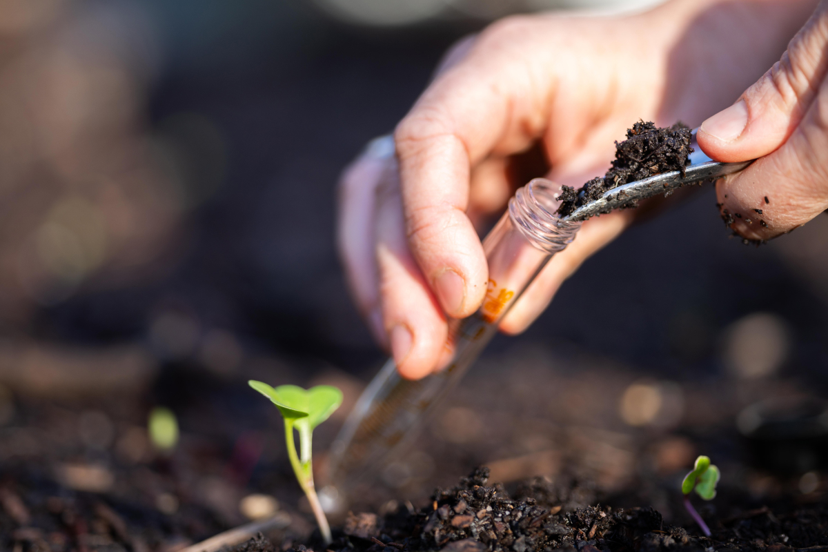 o que é o pH do solo