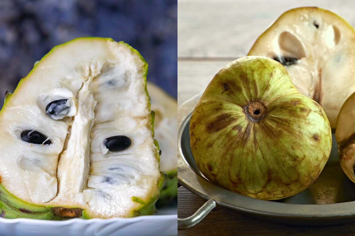 Atemoia do lado esquerdo e chirimoia do lado direito Foto: Adobe Stock
